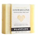 Plantlife Loofah Love Bar Soap - Moisturizing and Soothing Soap for Your Skin - Hand Crafted Using Plant-Based Ingredients - Made in California 4 oz Beauty & Personal Care Plantlife