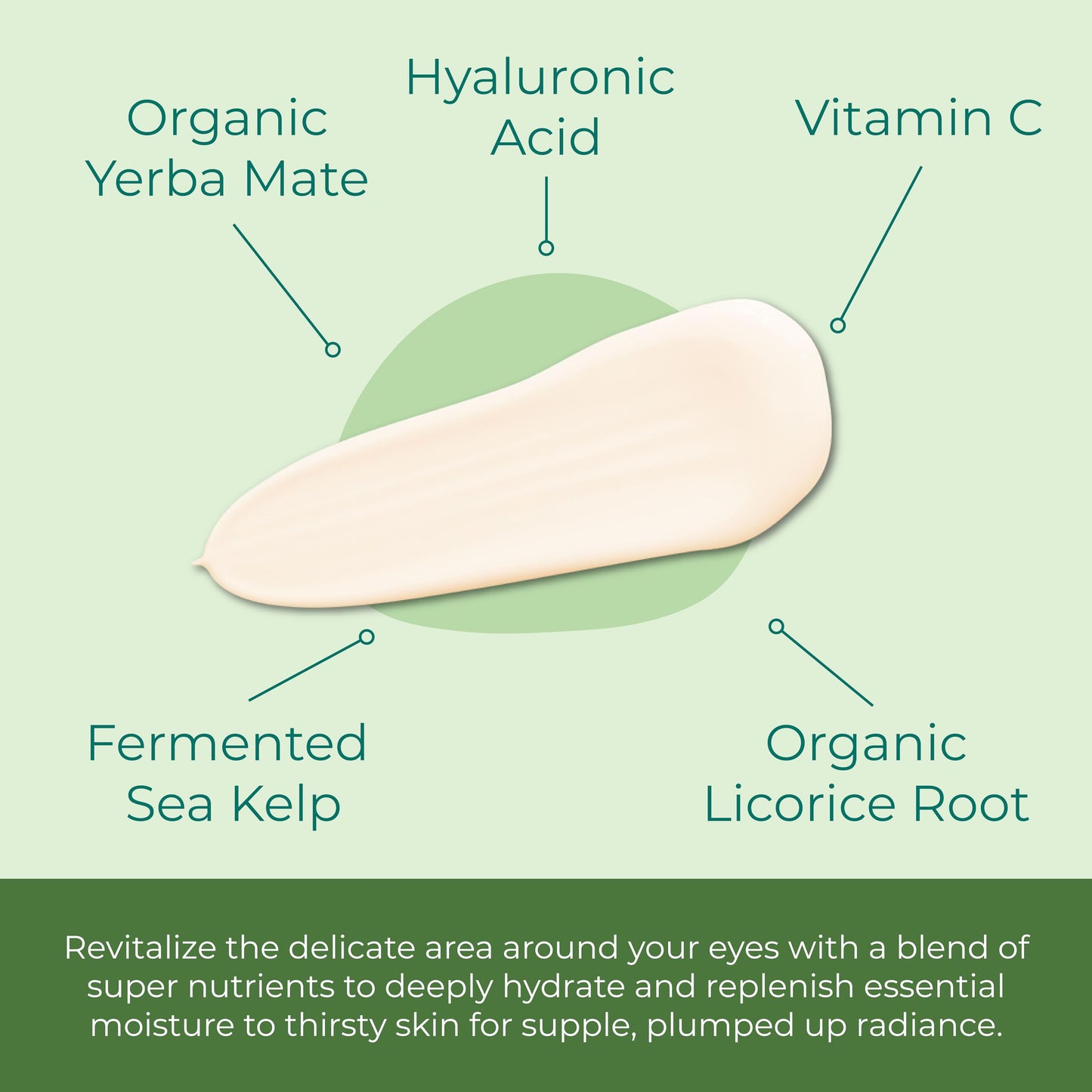 Sea-El Miracle Sea Kelp Eye Cream Hydrating & Correcting Yerba Mate Caffeine & Hyaluronic Acid for Dark Circles Bags & Puffiness - Daily Anti Aging Beauty & Personal Care Sea-El