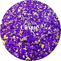 Purple Polyester Glitter | Craft Glitter | Glitter for Arts & Crafts | Tumblers | Cosmetics | Nails | Epoxy Resin Art | Slime | DIY | Body Glitter | 1 Beauty & Personal Care Glitter Heart Co.