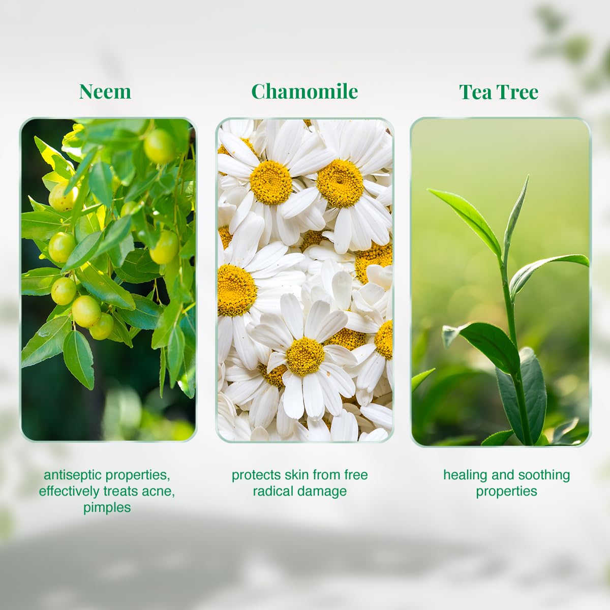 VLCC Neem Face Wash with Chamomile & Tea Tree | Anti-Acne Facial Cleanser with Soothing Properties | 5.07 Fl Oz/150 ml (Pack of 2) Beauty & Personal Care VLCC