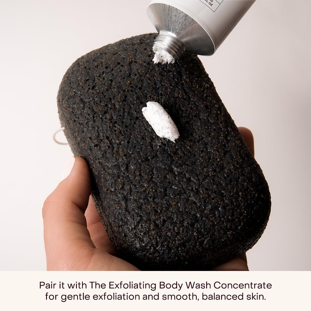 Everist The Exfoliating Konjac Body Sponge, Natural, Reusable, Compostable Bath Sponge for Sensitive Skin, Charcoal Cleansing, 60+ Uses, 1 Each Beauty and Personal Care Everist