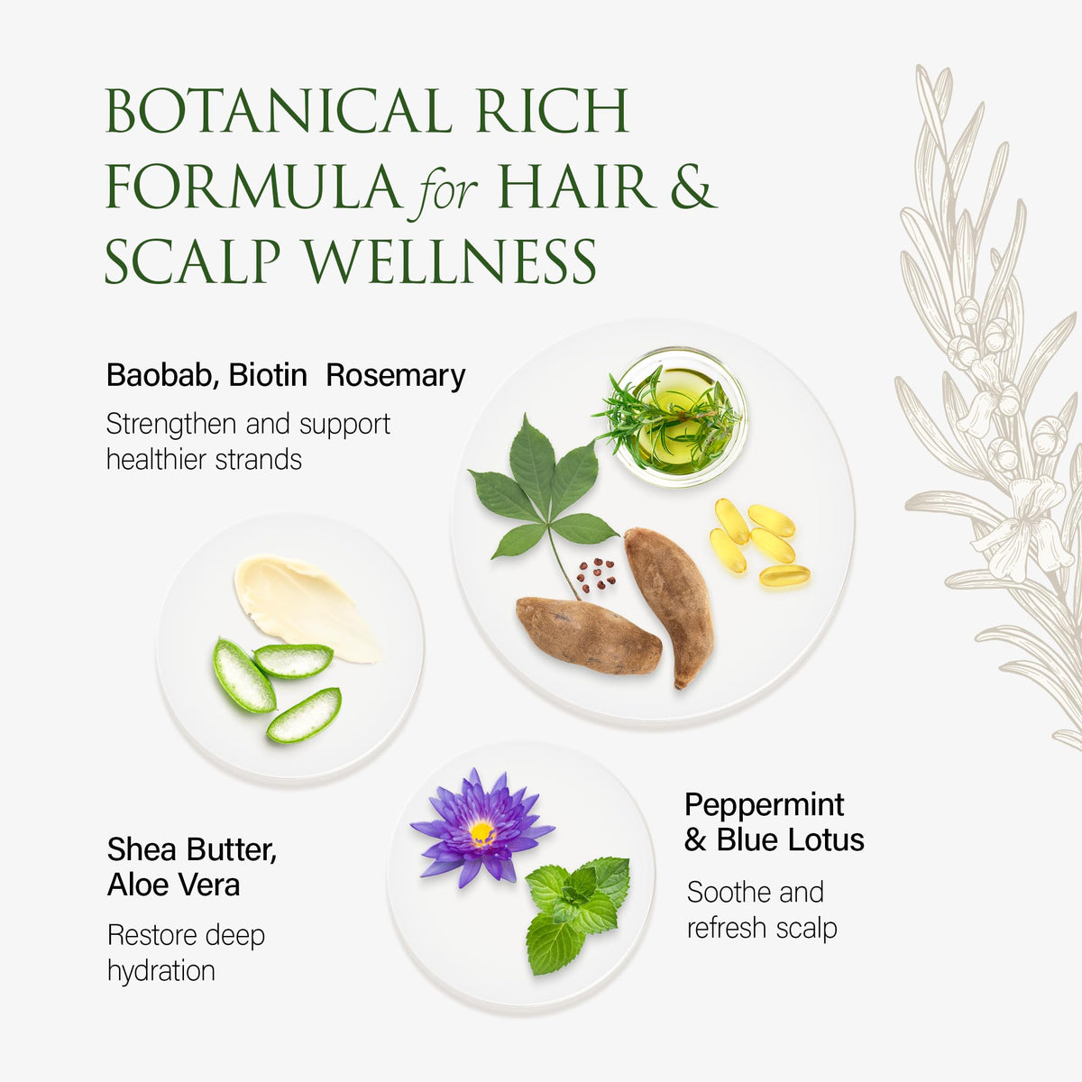 Christina Moss Naturals Conditioner Organic and Natural Ingredients, No Silicones, No Parabens Beauty & Personal Care Christina Moss Naturals
