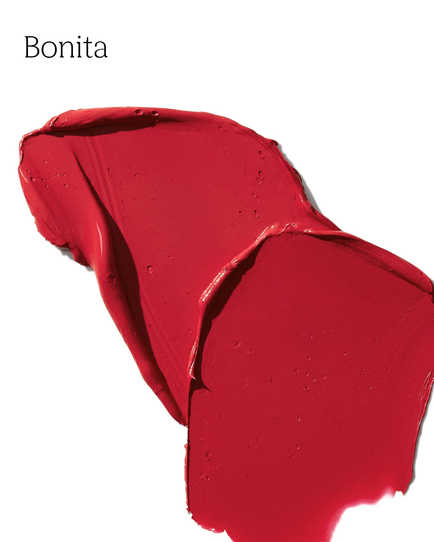 PDL Cosmetics Bold Aspirations Liquid Lipstick (Bonita) | Highly Pigmented Smooth Matte Finish | Brick Red Tone | Long Lasting, Non-Transfer Beauty & Personal Care PDL Cosmetics