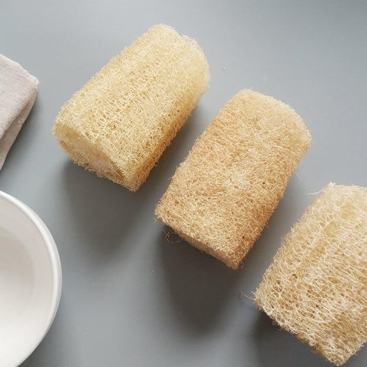 Natural loofah Skin Brush Dish Beauty and Personal Care IWEOOKJM
