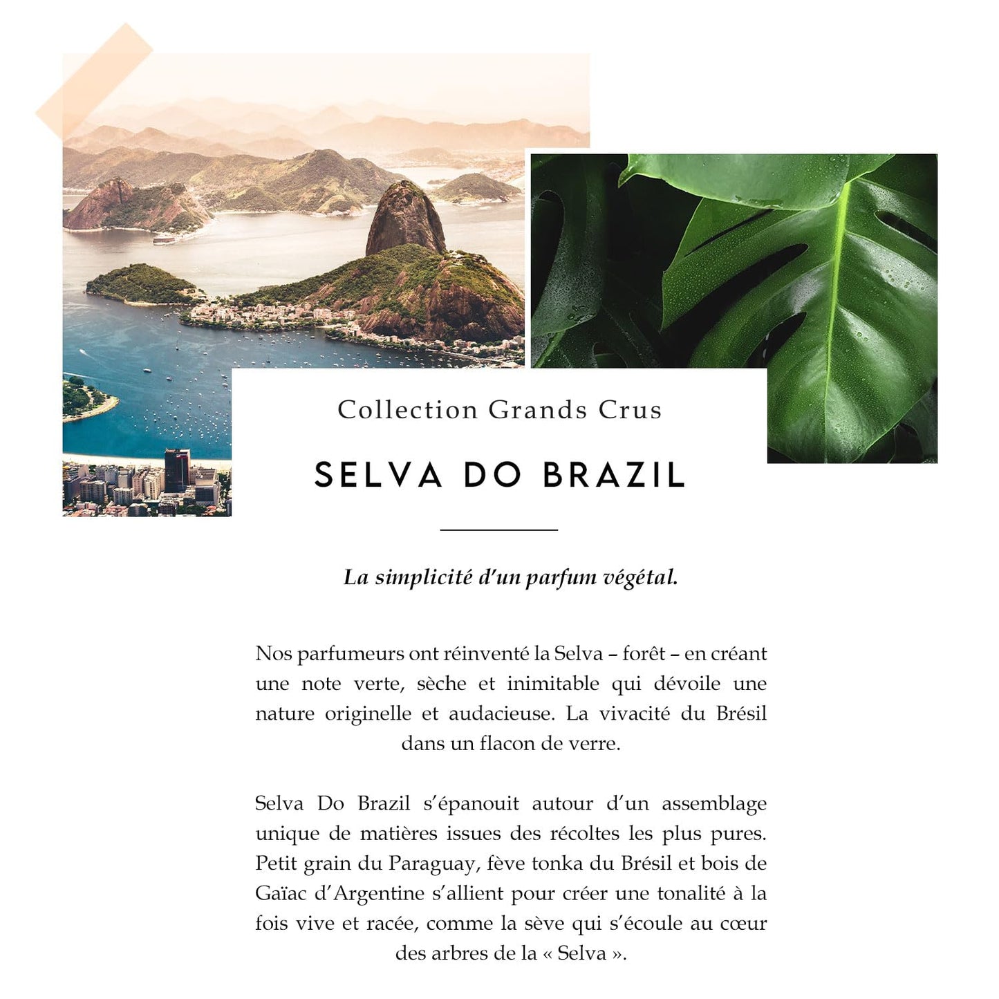 Berdoues Eau de Parfum Spray , Selva Do Brasil, For Women and Men 3.4 fl. oz. Beauty & Personal Care Berdoues