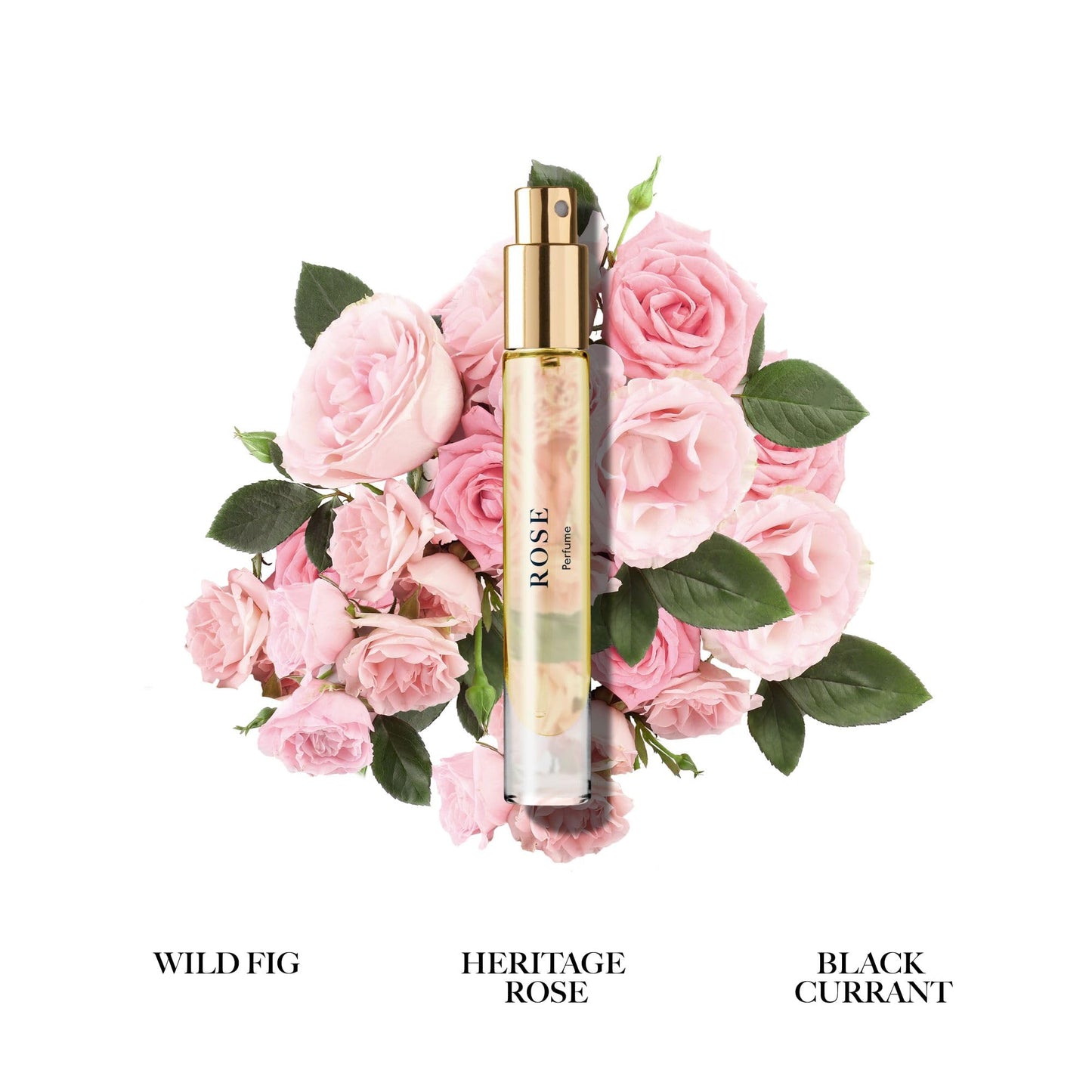 Caswell-Massey Rose Perfume Spray, Classic Floral for Women with Wild Fig, Currant, and Rose, Made in USA, 0.25 Oz Beauty & Personal Care Caswell-Massey
