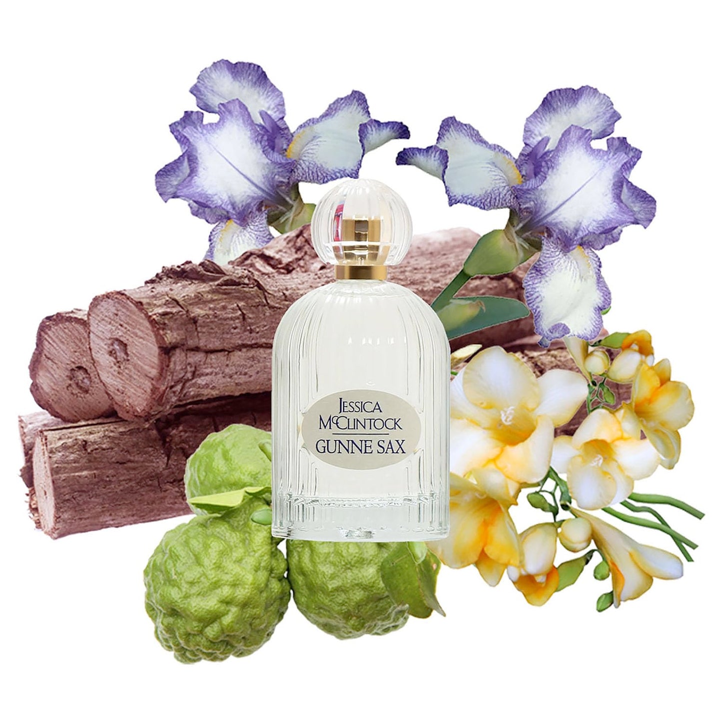 Jessica McClintock Gunne Sax Eau De Parfum Spray for Women, 3.4 oz - Warm Floral Fragrance with Bergamot, Freesia, Iris, Sandalwood & Musk Beauty & Personal Care Jessica McClintock