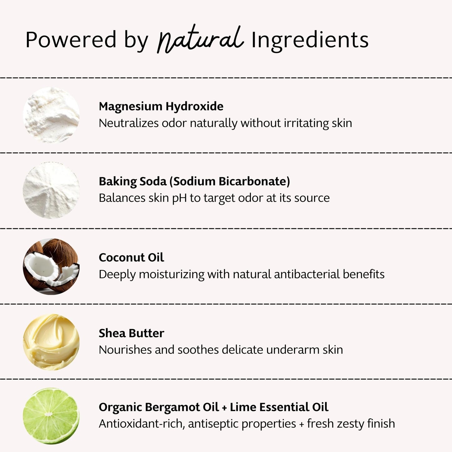 Slo Natural Deodorant - All Natural Ingredients - Aluminum Free Deodorant for Women - Vegan, Paraben and Cruelty Free - Paper Packaging - Lime + Beauty and Personal Care Slo