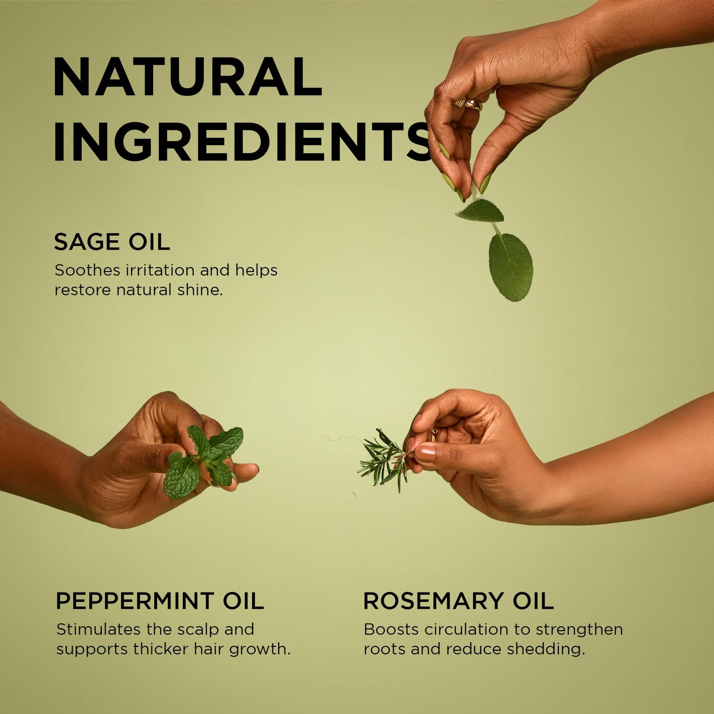 African Pride Feel It Formula Hair Strengthening Oil - Hair Oil with Rosemary, Peppermint & Sage - Hydrates Hair, Helps Strengthens Roots & Promotes Beauty & Personal Care African Pride
