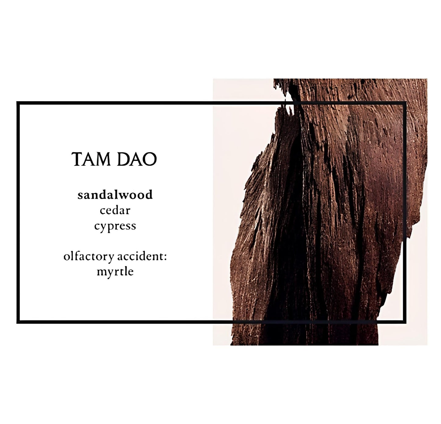 Diptyque Tam Dao Unisex EDT Spray 3.4 oz Beauty & Personal Care Diptyque Paris