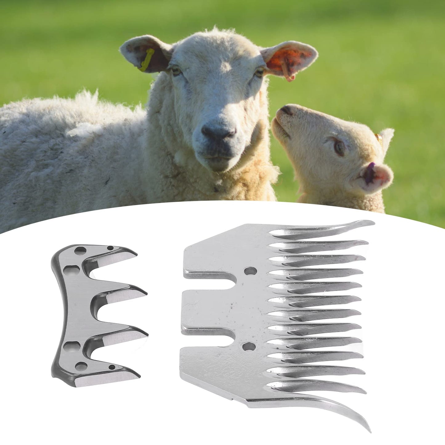 Sheep Shears Blade Curved 13 Teeth Wool Clipper Comb Cutter for Skilled Farmers Trimming Thin Wool 7mm Spacing Beauty and Personal Care Fafeicy