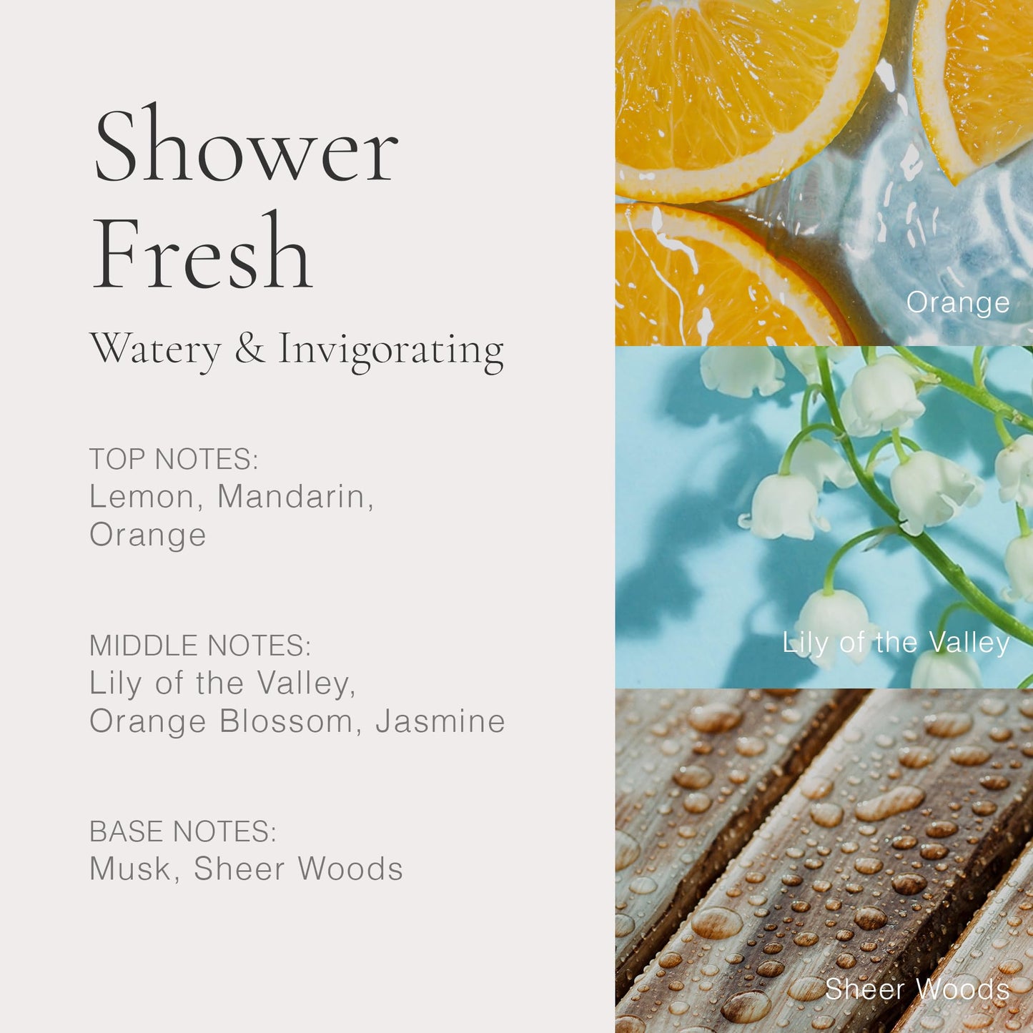 CLEAN CLASSIC Shower Fresh 30mL Beauty & Personal Care CLEAN