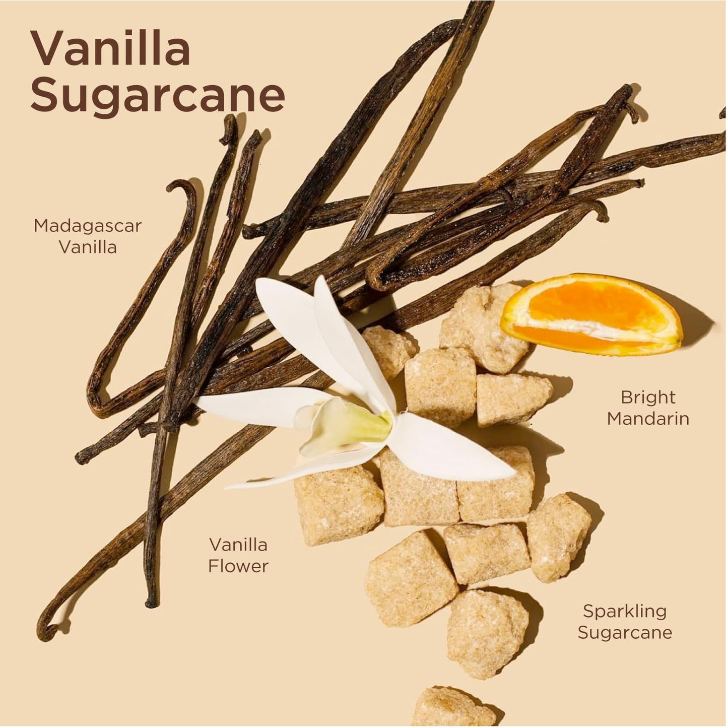 Lavanila Vanilla Sugarcane Perfume for Women, 1.7 Fl Oz - Clean and Natural Eau de Parfum Made In USA Beauty & Personal Care Lavanila