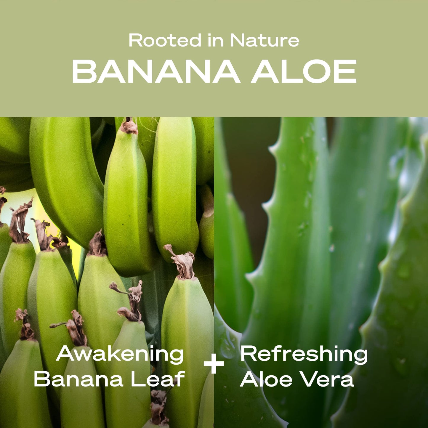 Hey Humans Banana Aloe Moisturizing Body Wash with Natural Ingredients & Jojoba Oil | Clean, Vegan, Sulfate Free Bath & Body Wash for Women & Men | Beauty & Personal Care HEY HUMANS