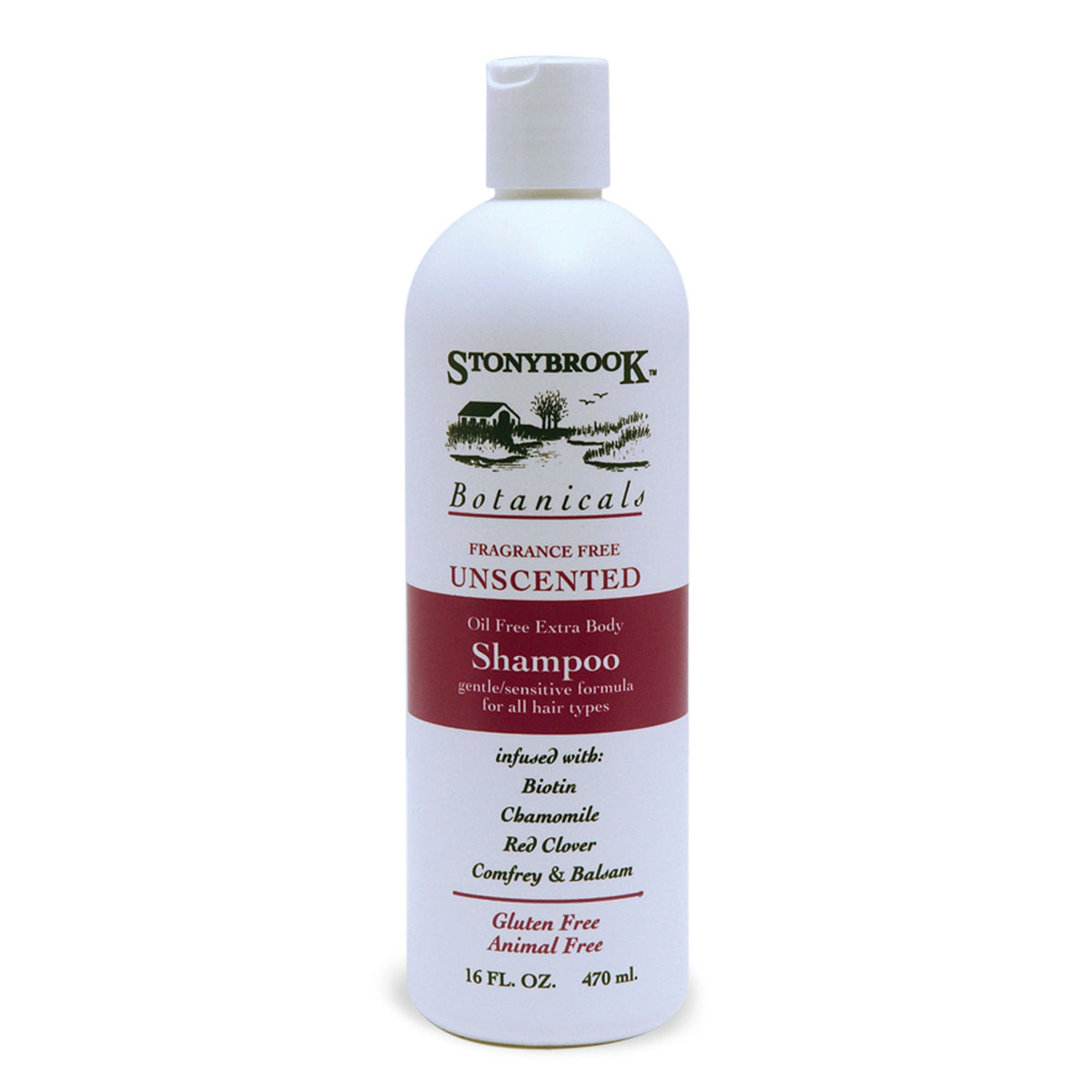 Stoneybrook STONEY BROOK SHAMPOO,UNSCENTED, 16 FZ, EA-1 Beauty & Personal Care Stonybrook
