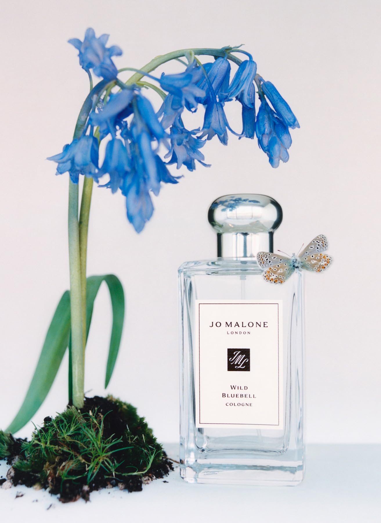 Jo Malone 3.4 Cologne Spray for Women Beauty & Personal Care Jo Malone