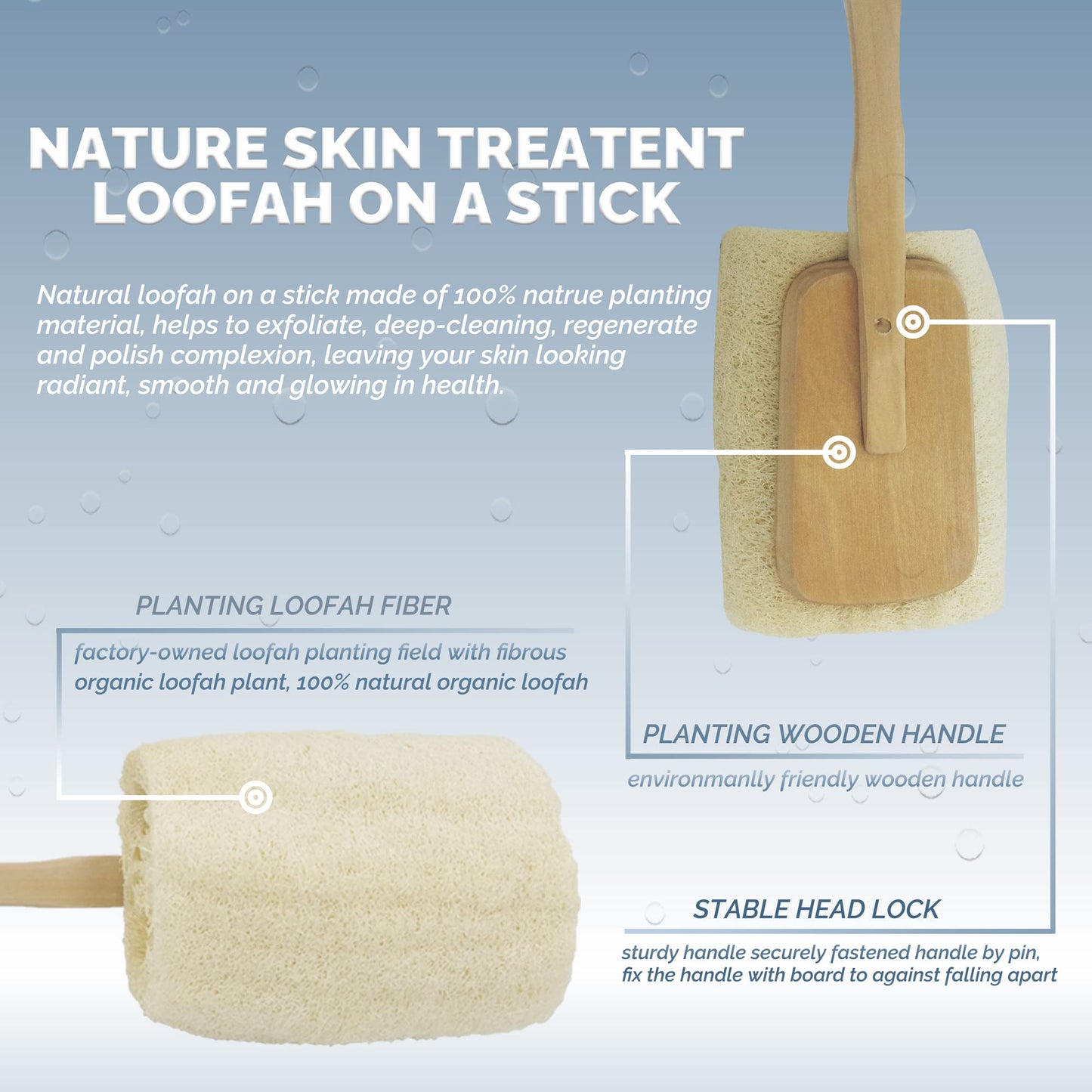 Bleu Bath (2 Pack) Exfoliating Loofah Back Brush Dry Body Brush in 100% Natural and Organic Luffa with Long Wooden Handle Fixed, Scrubber Brush Beauty and Personal Care Bleu Bath