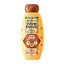 Garnier Whole Blends Repairing Shampoo Honey Treasures, For Damaged Hair, 22 Fl Oz (Pack of 1) Beauty & Personal Care Garnier