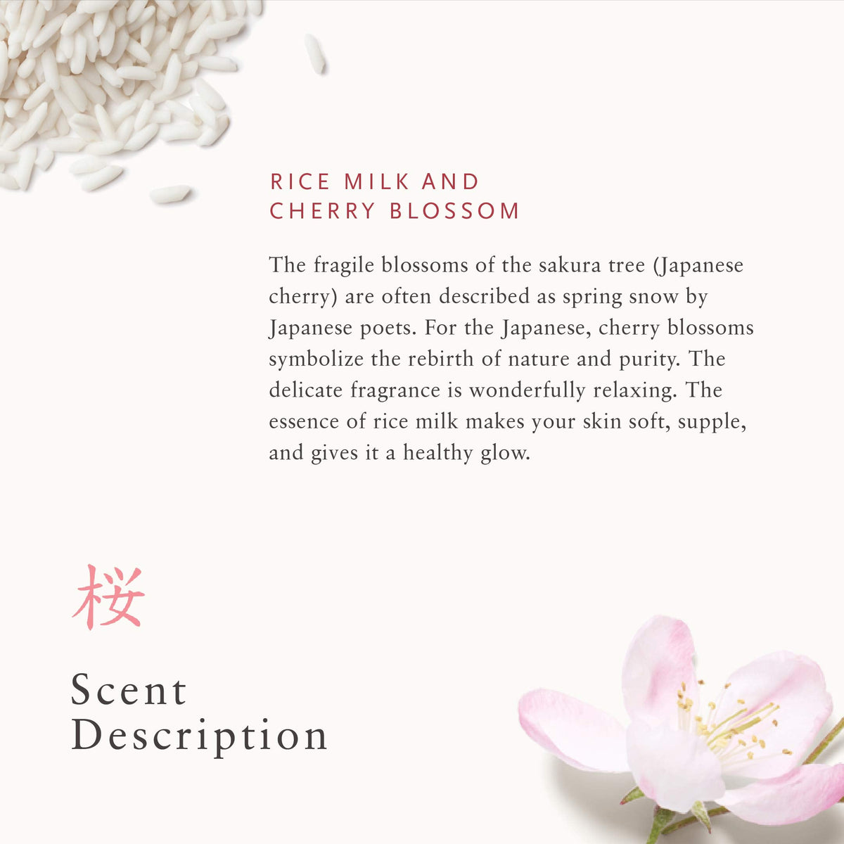 RITUALS The Ritual of Sakura Foaming Shower Gel Cherry Blossom, 6.7 Fl Oz Beauty & Personal Care RITUALS