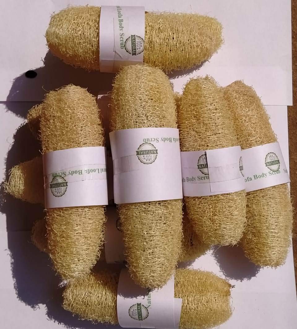 Vaibhav VVOS® 8 Pieces 100% Natural Organic Body Scrubber Loufah Sponges for Bathing -Natural loofah- 12 cm to 18cm Beauty and Personal Care Vaibhav