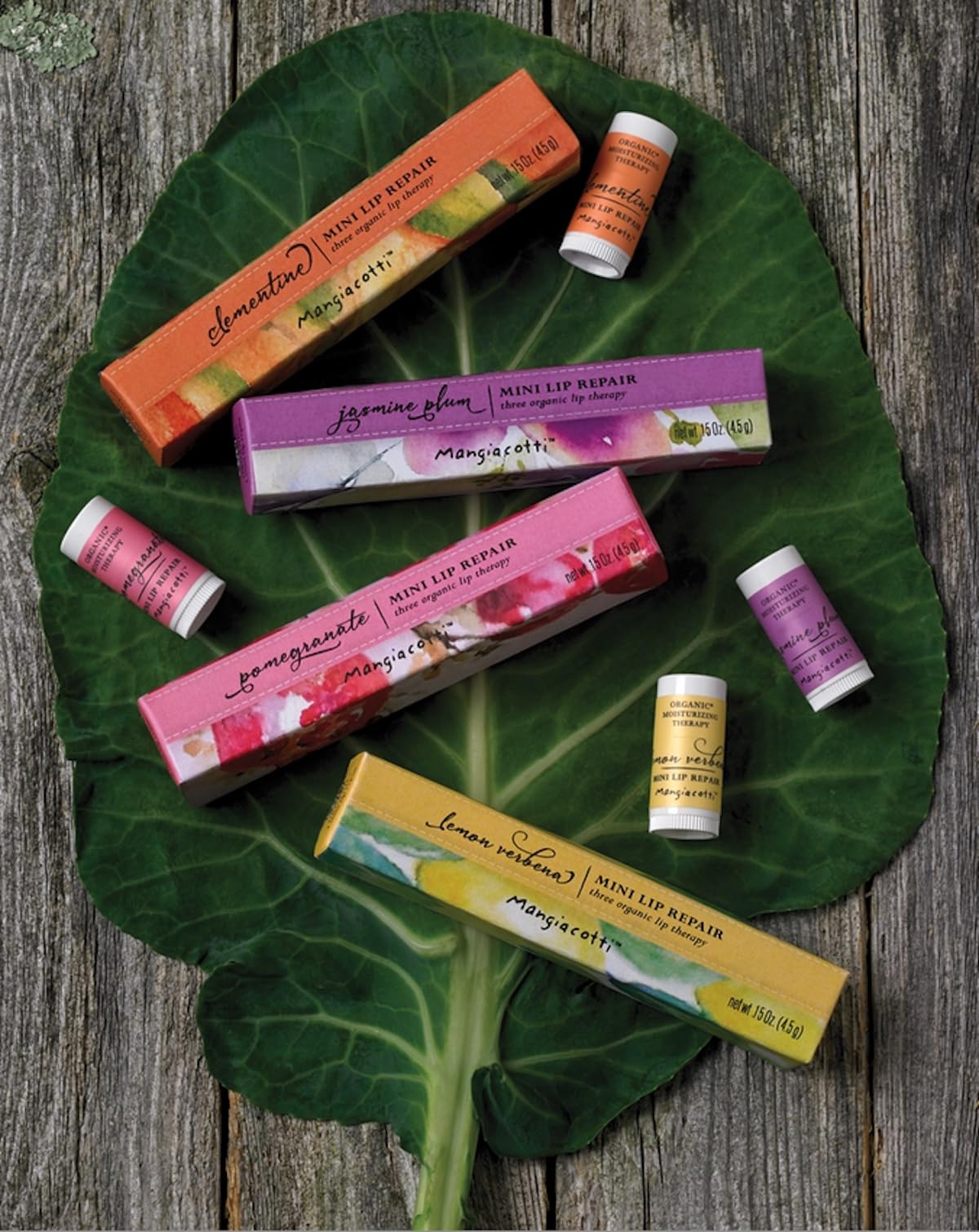 Mangiacotti Lip Balm 3-Pack Small Moisturizing Repair Sticks for Soft Lips Organic Beeswax Mini Balms, .15 Ounce Total, Jasmine Plum Beauty and Personal Care Mangiacotti