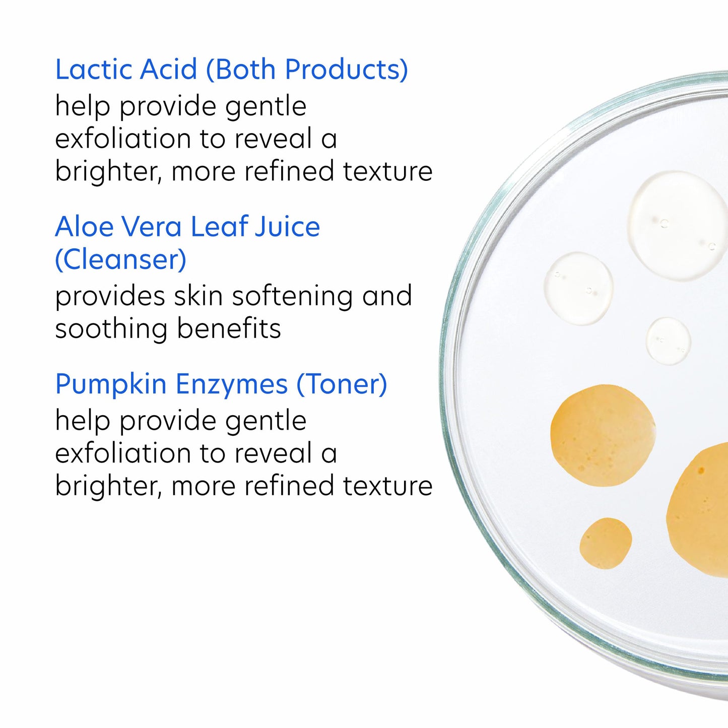 PCA SKIN Cleanse and Tone Skincare Kit, Foaming Face Wash and Nutrient Face Toner Kit, 2 Bottle Skincare Kit Beauty & Personal Care PCA SKIN