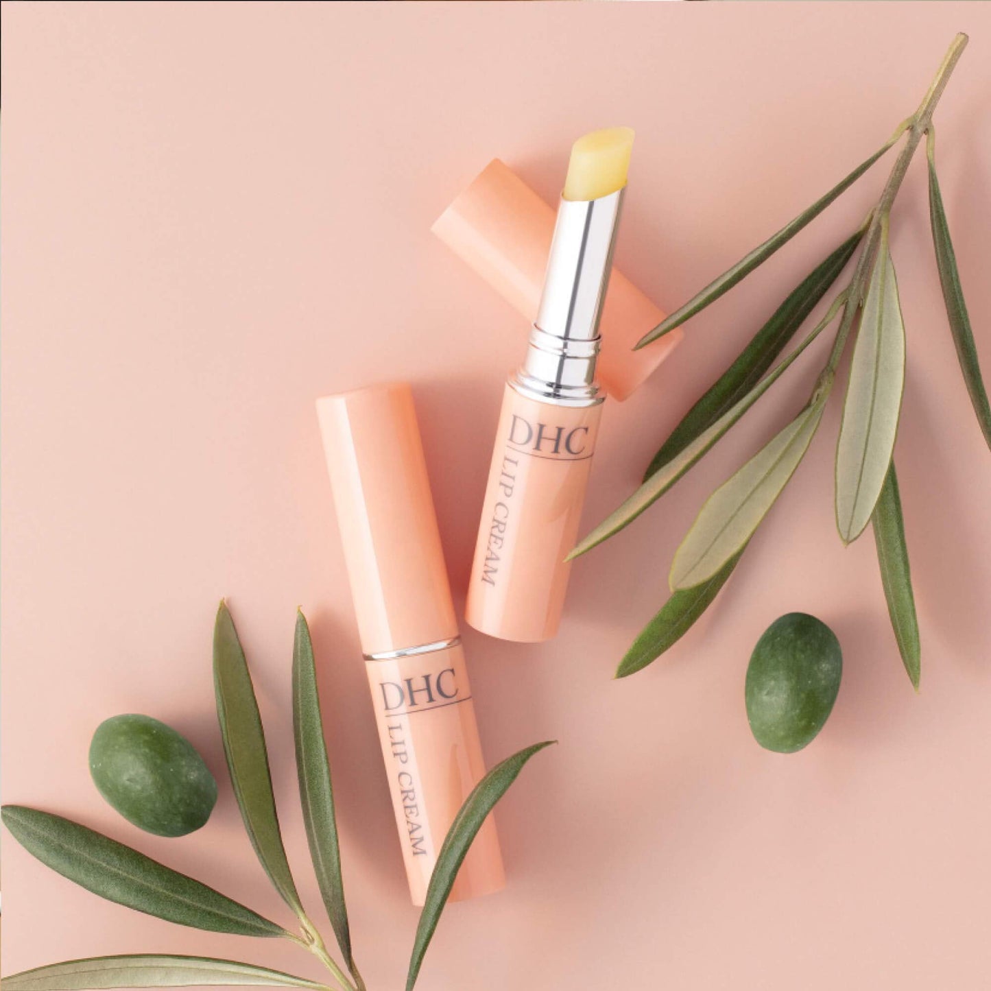 DHC Lip Cream, Pack of 2 Beauty and Personal Care DHC