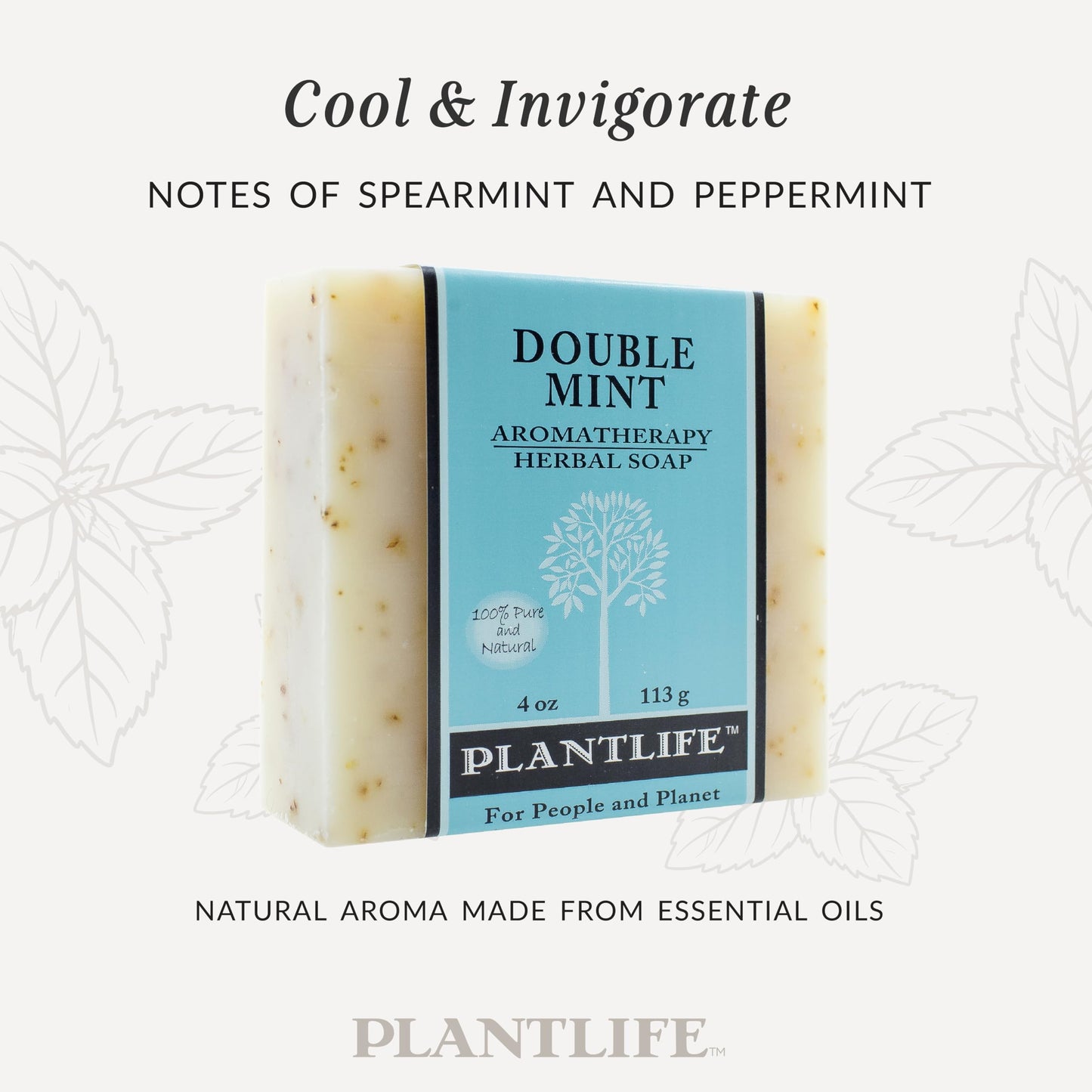 Plantlife Double Mint Bar Soap - Moisturizing and Soothing Soap for Your Skin - Hand Crafted Using Plant-Based Ingredients - Made in California 4oz Beauty & Personal Care Plantlife