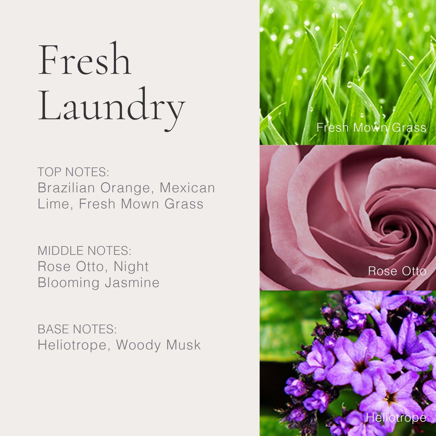 CLEAN CLASSIC Fresh Laundry 60mL Beauty & Personal Care CLEAN