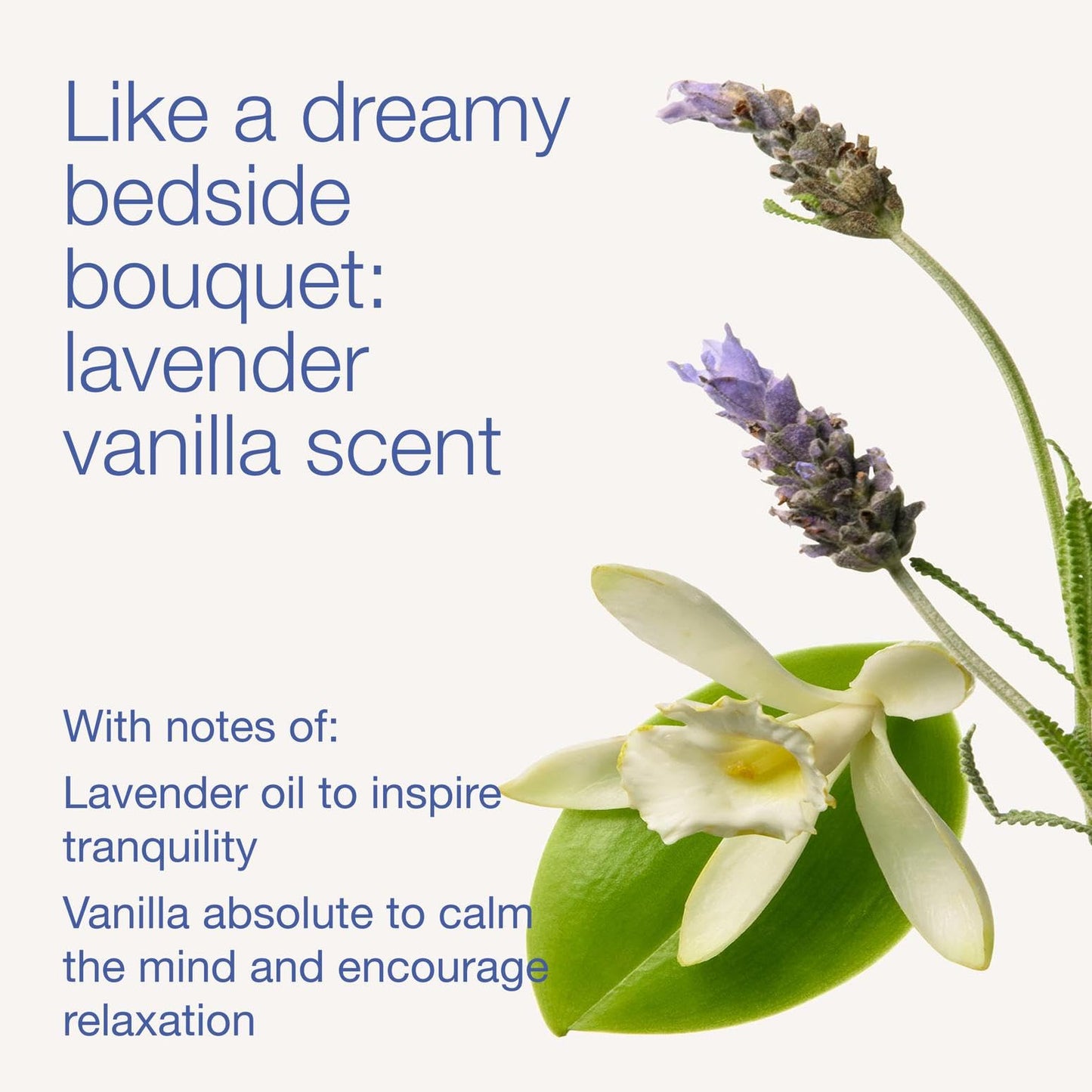 Bath & Body Works Lavender Vanilla Body Wash & Foam Bath, Aromatherapy Cleanser with Vitamin E & Aloe, Non-Drying & Gentle for Daily Use, 10 fl oz - 1 Beauty & Personal Care Bath & Body Works