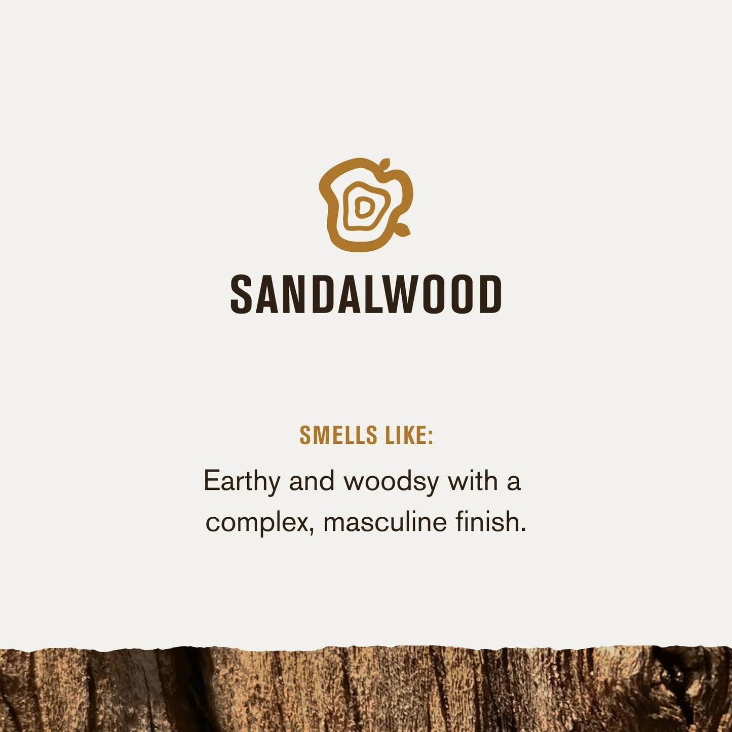 Every Man Jack Mens Sandalwood Beard Kit Holiday Gift Set, Face Wash, Beard Butter, Beard Oil & Comb Beauty and Personal Care Every Man Jack