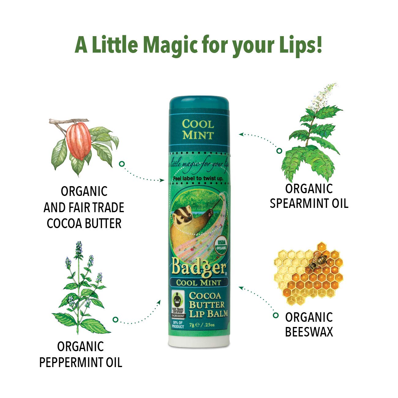 Badger Lip Balm Cool Mint, 0.25 Ounce Beauty & Personal Care Badger