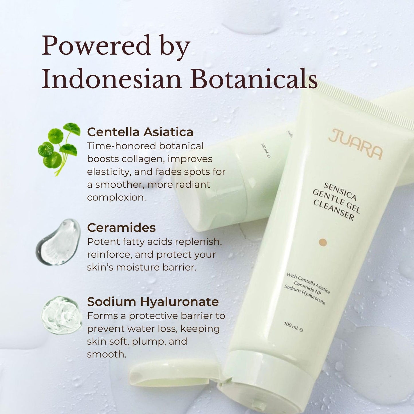 JUARA Sensica Gentle Gel Cleanser - Sulfate Free Face Wash for Sensitive Skin with Plant Extracts & MultiEx BSASM - Natural Daily Facial Cleanser, 3.3 Beauty & Personal Care Juara