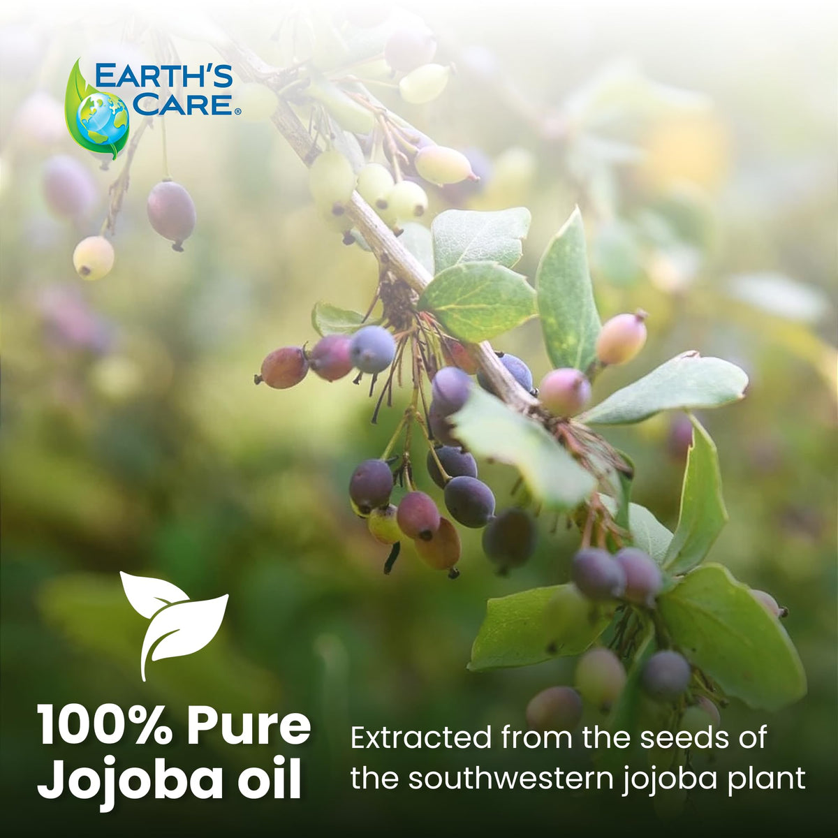 Earth's Care Jojoba Oil, 100% Pure, Unrefined & Cold Pressed, 8 FL OZ