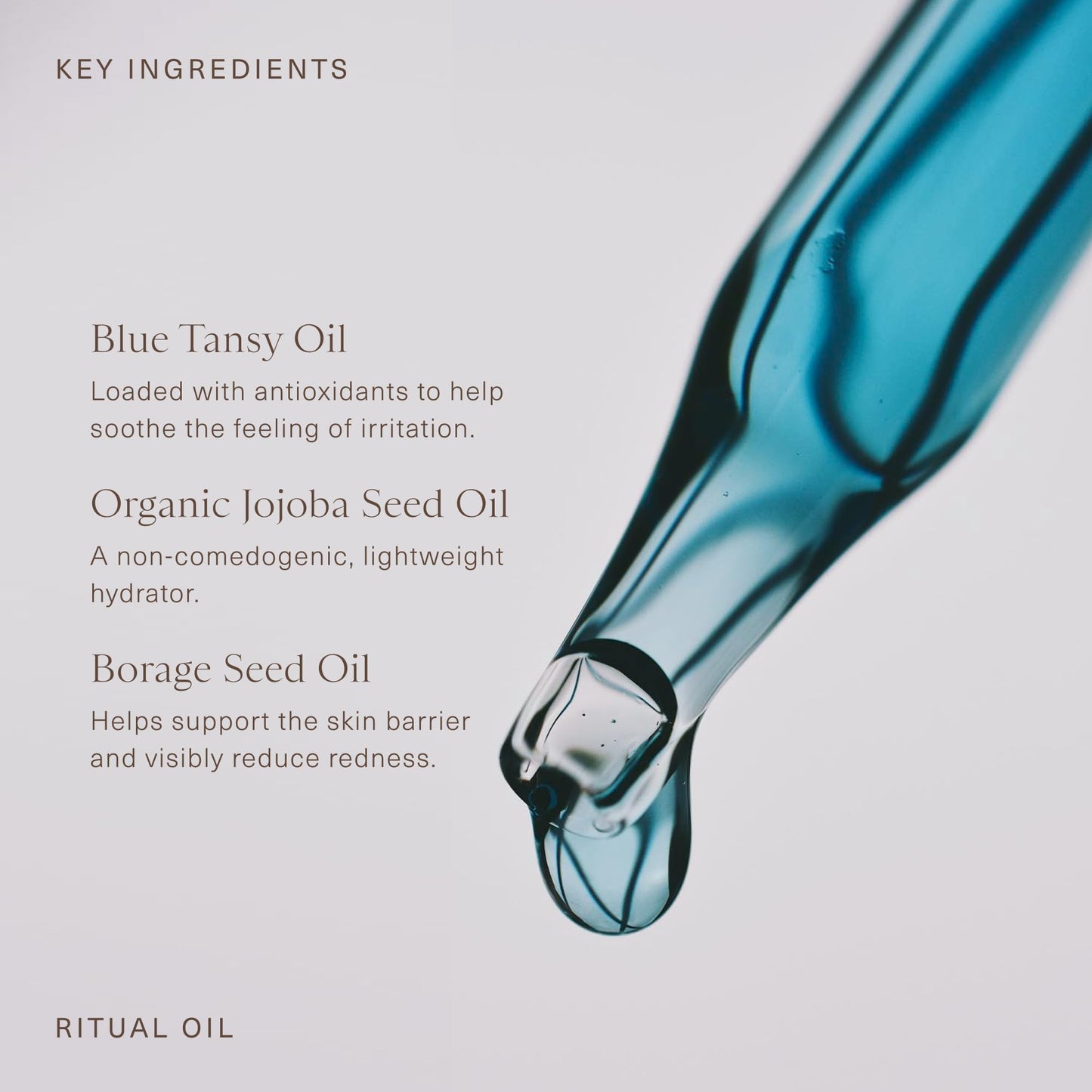 Oak Essentials Ritual Oil, Blue Tansy Hydrating Face Oil with Organic Jojoba Seed and Borage Seed Oils, Balances Sensitive-Feeling Skin, Silky Finish Beauty & Personal Care Oak Essentials