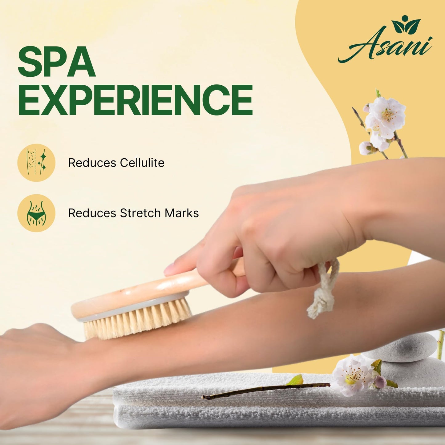 Asani Dry Brushing Body Brush Set for Lymphatic Drainage & Cellulite - 3-Pcs Detachable Back, Contour Body & Face Brushes Organic Gift for Dry Skin Beauty & Personal Care Asani