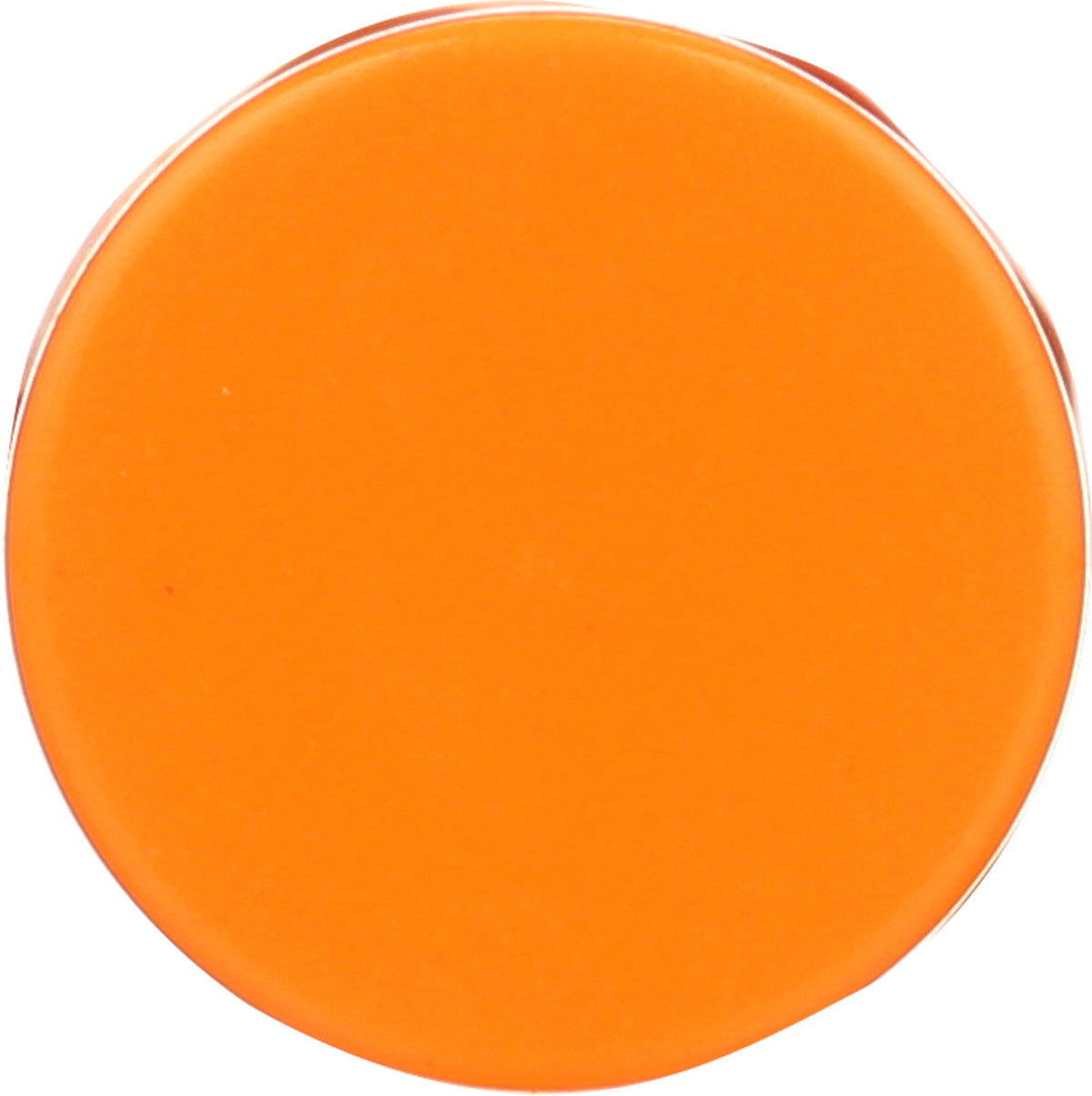 Burt's Bees Moisturizing Lip Balm, Mango 0.15 oz (Pack of 4) Beauty & Personal Care Burt's Bees