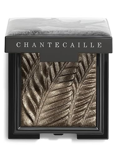 Chantecaille, Luminescent Eye Shade, Rhinoceros Beauty & Personal Care Chantecaille