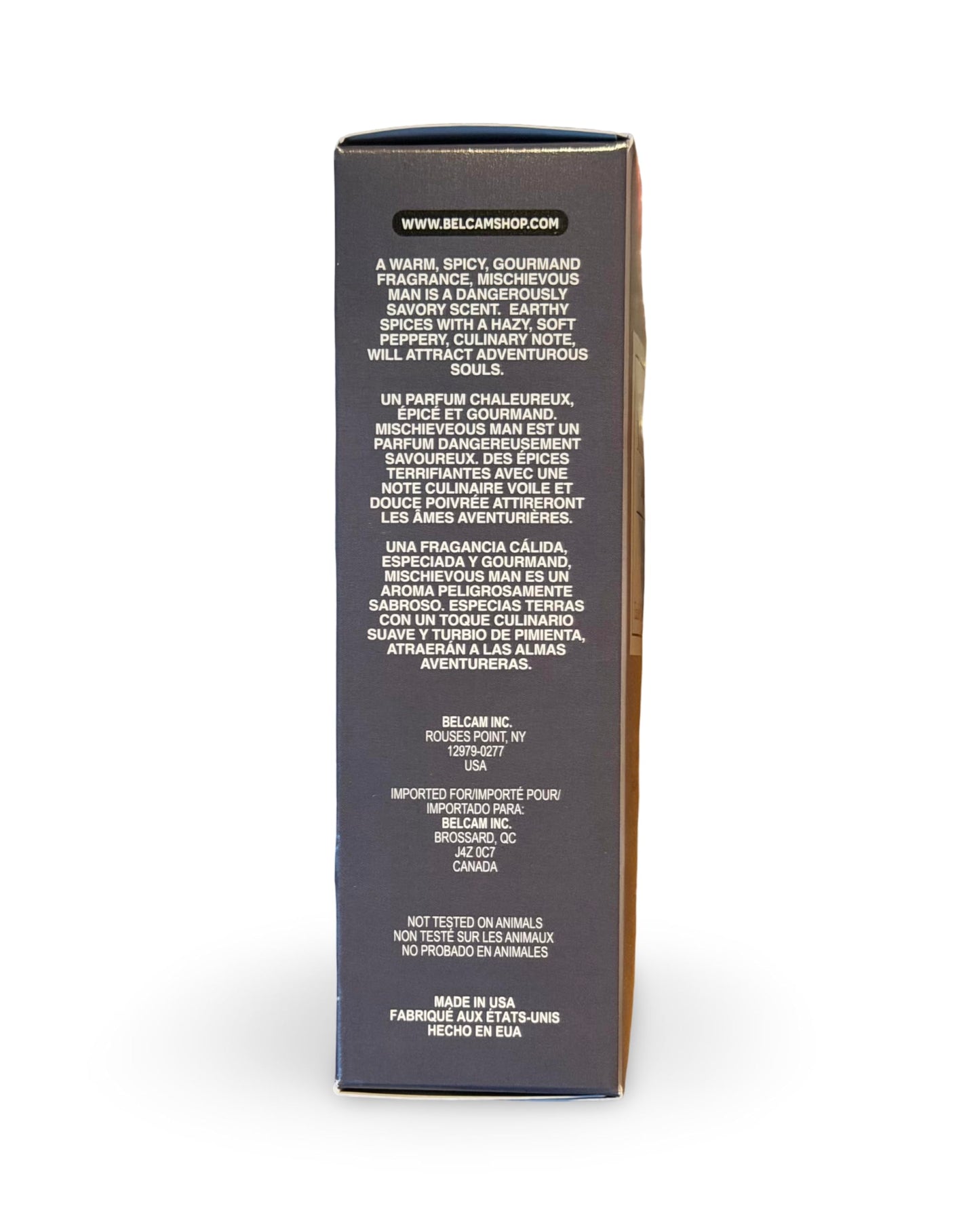 Belcam Beauty C'est parfum MISCHIEVOUS MAN Eau De Toilette Spray for Men, 3.4 oz, Notes of Black Pepper, Cacao, Sage Beauty & Personal Care Belcam Beauty