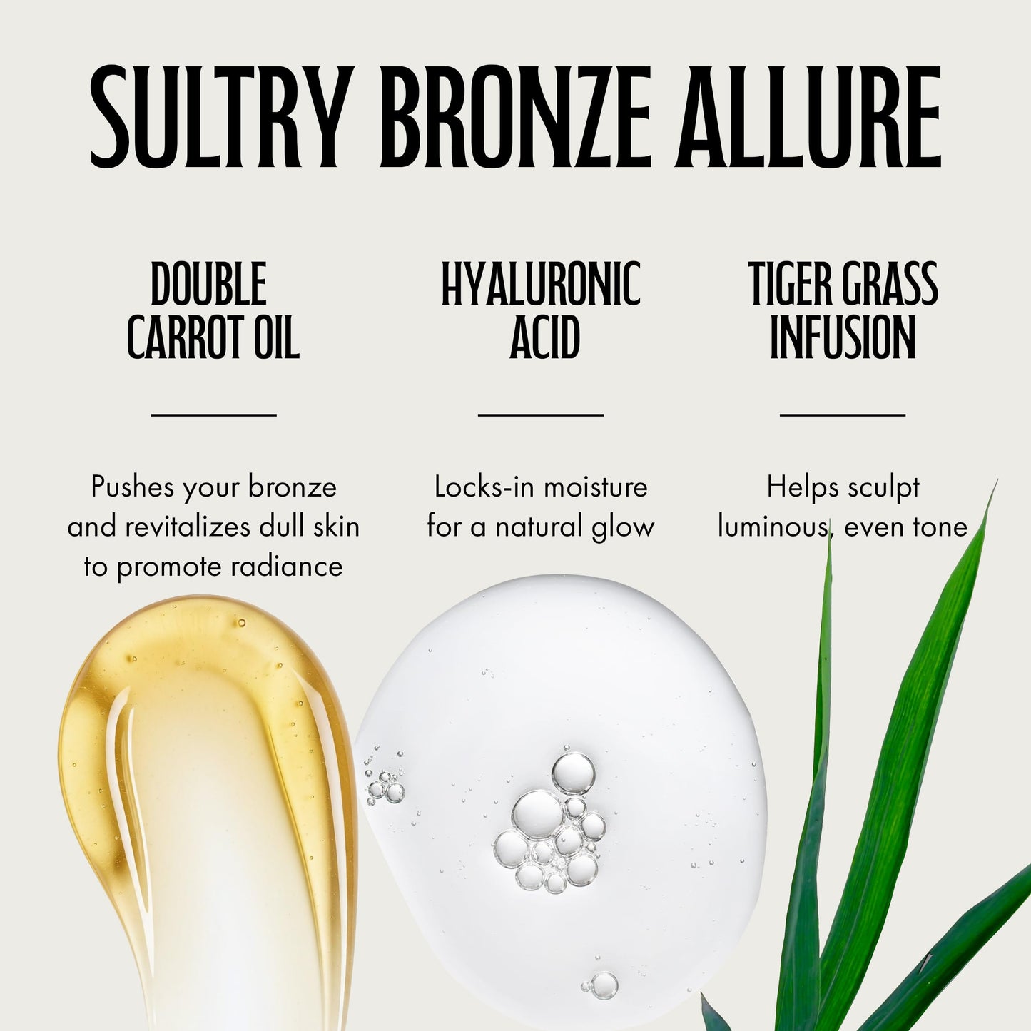 Brown Sugar Double Dark Sexy Side Tanning Lotion, 400X Wildbronzer with Jamaican Black Castor Oil, Double Carrot Oil, Hyaluronic Acid & Peptides, 13.5 Beauty & Personal Care Brown Sugar