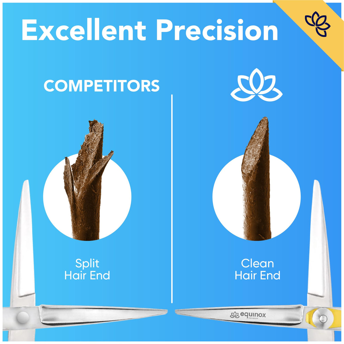 Equinox Razor Edge Series Professional Hair Scissors - 6.5” Premium Japanese Stainless Steel Hair Cutting Scissors, Hair Shears, Hair Razors for Hair