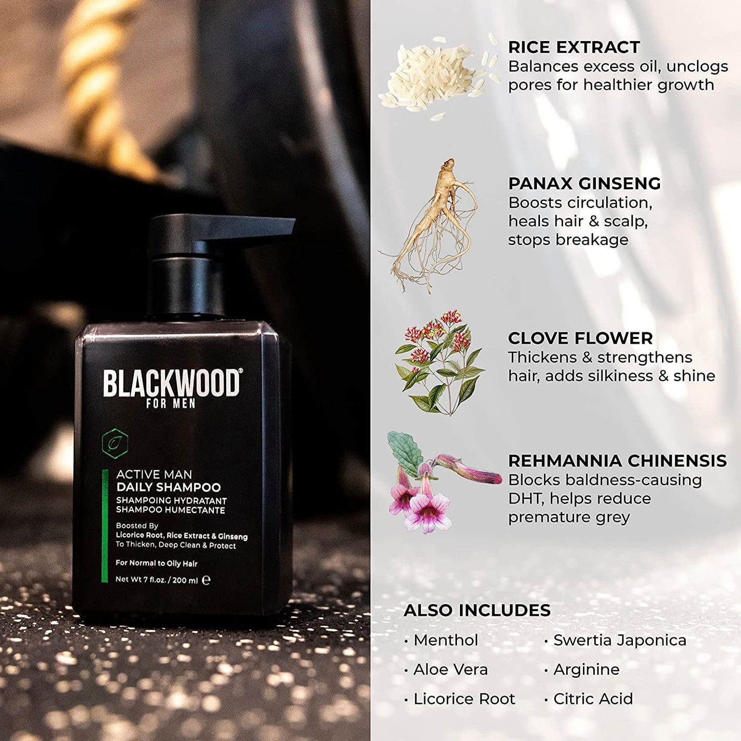 BLACKWOOD FOR MEN Dapper Dad Set including Travel Bag, Active Man Shampoo, Active Man Conditioner, & Pure Moisture Body Wash - Natural Vegan Formula Beauty & Personal Care Blackwood For Men