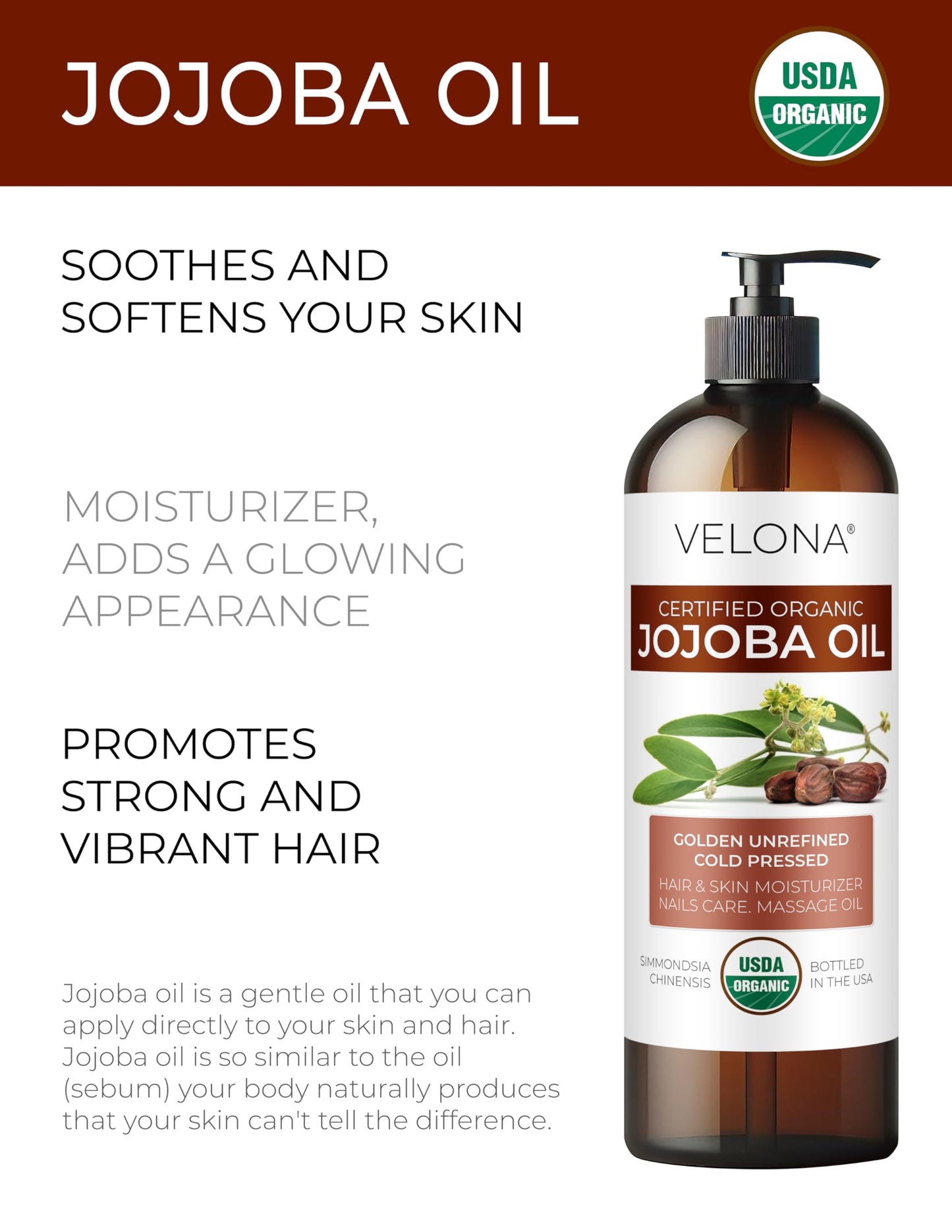 velona Jojoba Oil USDA Certified Organic - 16 fl oz (With Pump) | 100% Pure and Natural | Golden, Unrefined, Cold Pressed, Hexane Free | Moisturizing Beauty & Personal Care velona