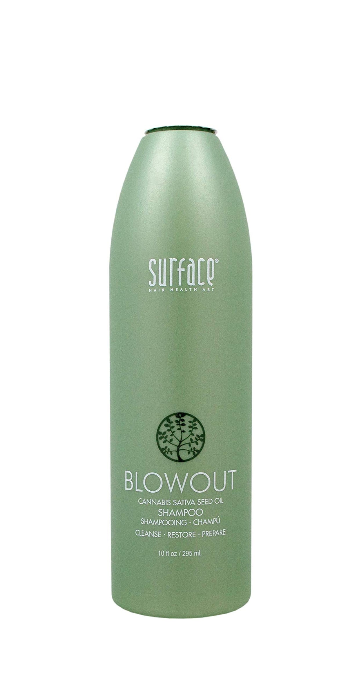 Surface Hair - Blowout Shampoo - Organic Shampoo for Women and Men, Heat-Resistant with Babassu Oil for Longer Lasting Blowouts - 10 fl oz Beauty & Personal Care SURFACE
