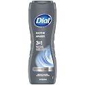 Dial Men Body Wash Infinite, fresh, 16 Ounce Beauty & Personal Care Dial