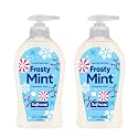Softsoap Limited Edition Frosty Mint Peppermint Scented Liquid Hand Soap, 11.25 Fl Oz, 2 Pack, Winter Holiday Design Beauty & Personal Care Softsoap