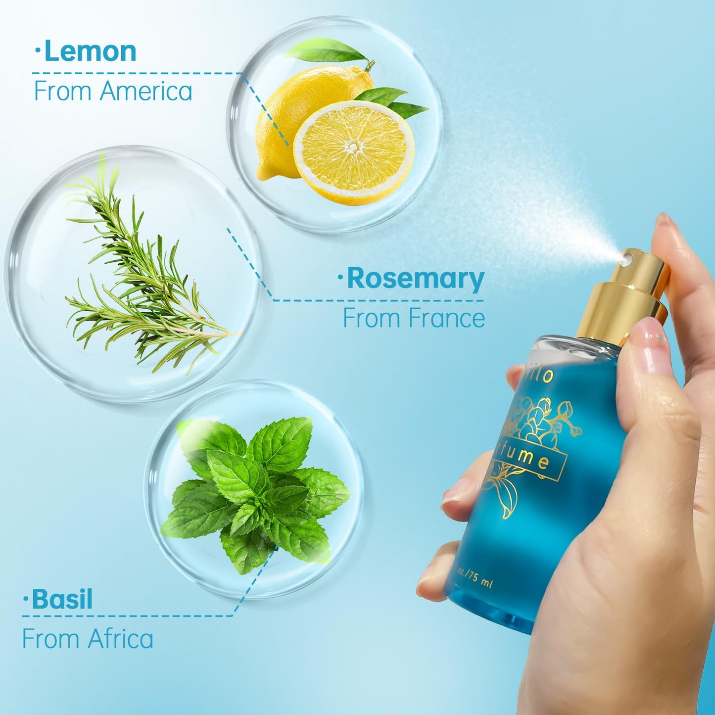 Aiilo Hair Perfume for Women, Long Lasting Hair Fragrance Mist, Hair Perfume Spray for Hair, Body & Clothes, Lightweight Non-Greasy Formula, Up to 8 Beauty & Personal Care Aiilo