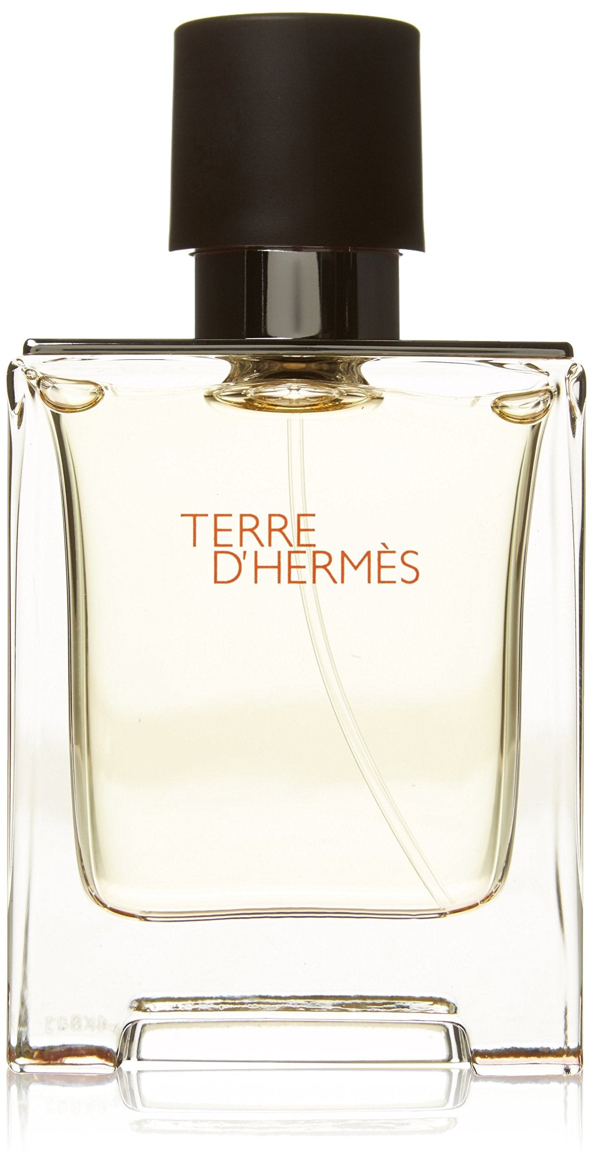 Hermes Terre D'hermes Eau de Toilette Spray, 1.7 Fluid Ounce Beauty & Personal Care Hermès
