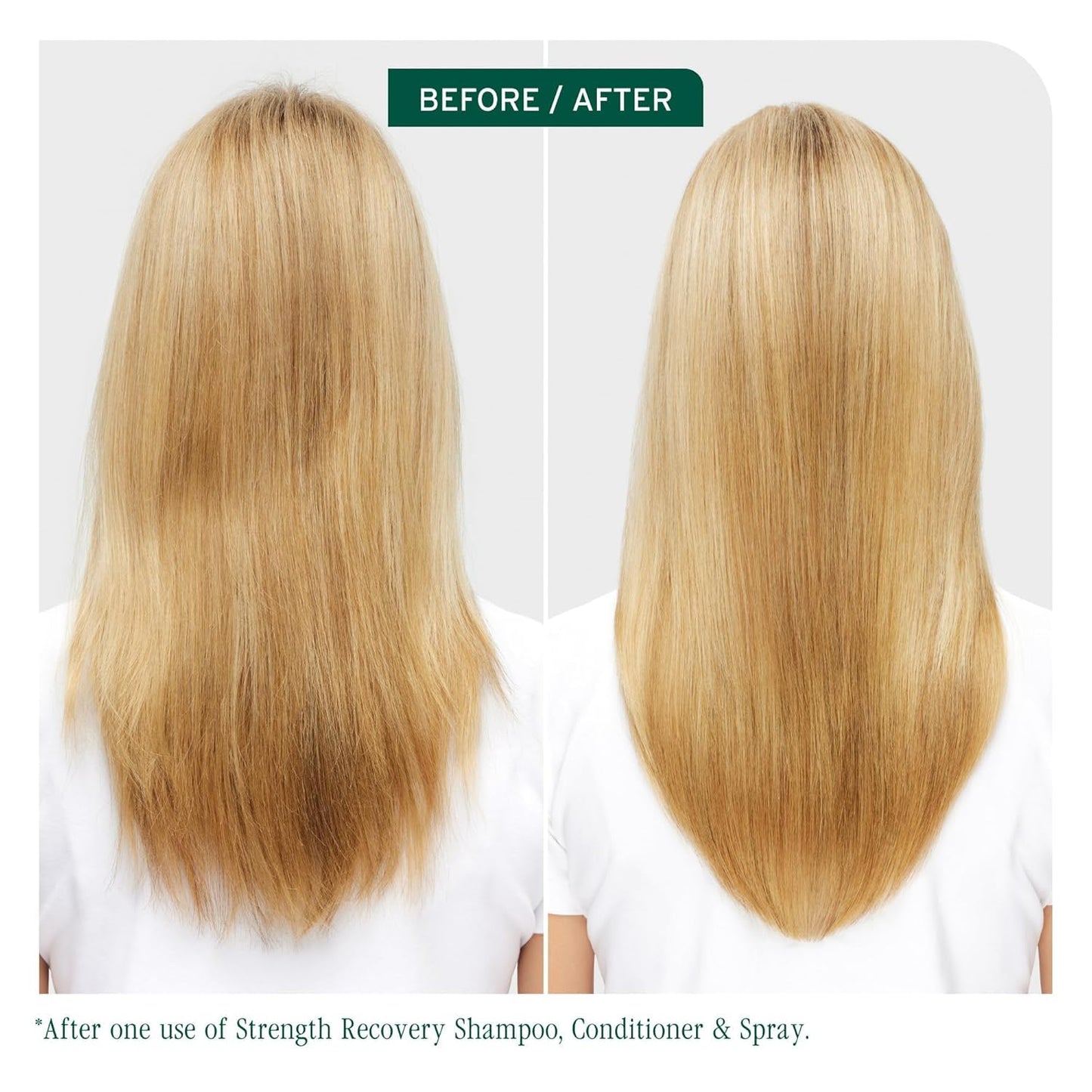 Biolage Winter Rescue Kit - Hydra Source and Strength Cure Mini Shampoo, Conditioner and Scalp Sync Concentrate, Hydrates and Repairs Damage Beauty & Personal Care Biolage