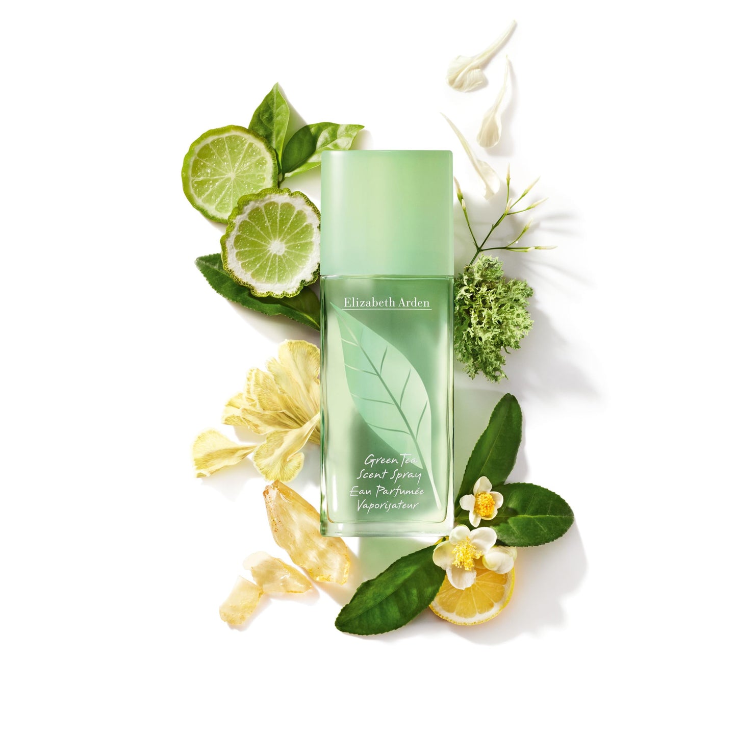 Elizabeth Arden Green Tea Women's Perfume Fragrance, Fresh & Floral Parfum with Notes of Bergamot, Tea and Oakmoss, Eau de Toilette, 1.7 Oz Beauty & Personal Care Elizabeth Arden